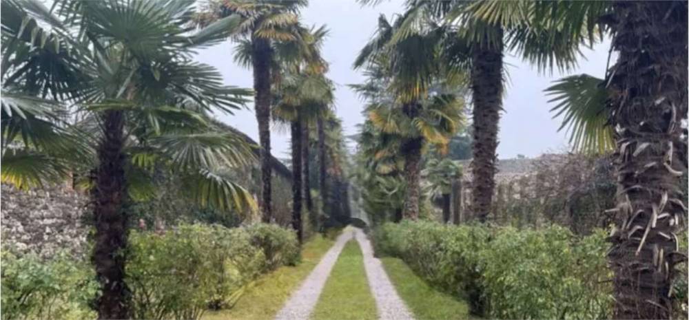 immagine annuncio 3 di 13