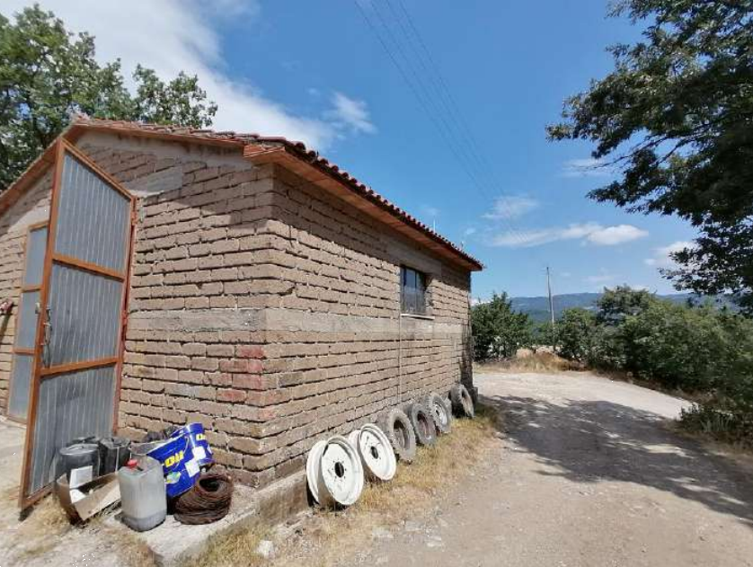 immagine annuncio 2 di 13