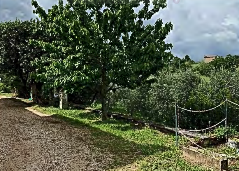 immagine annuncio 7 di 13