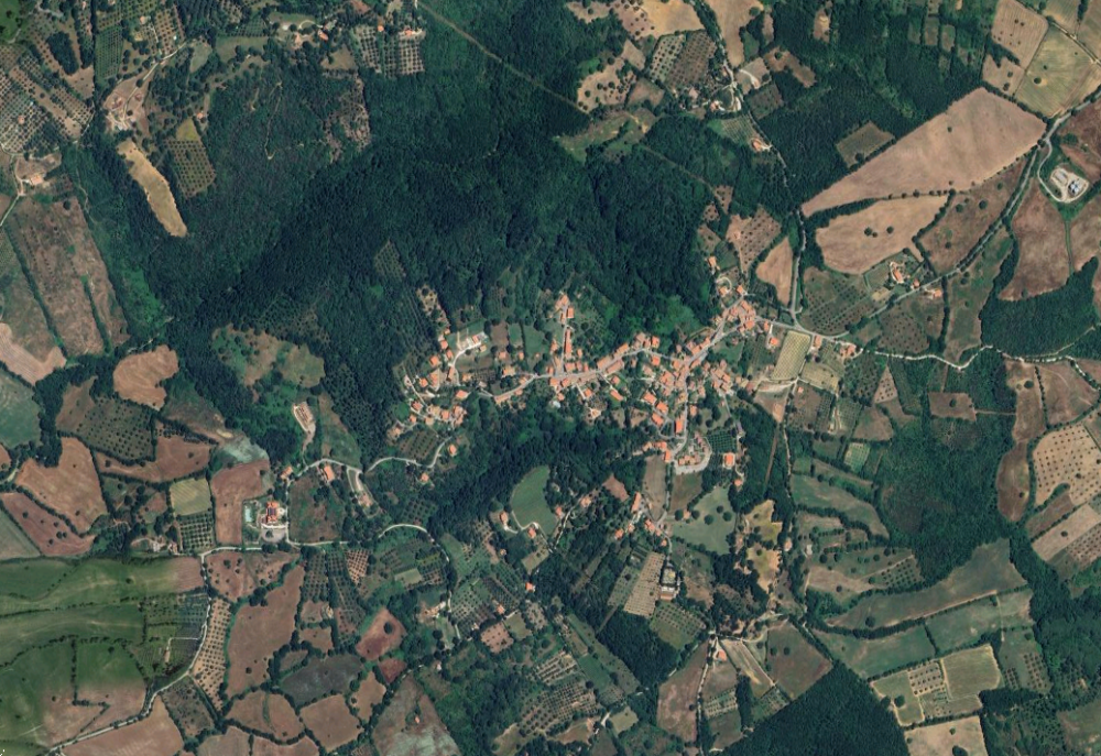 immagine annuncio 11 di 13