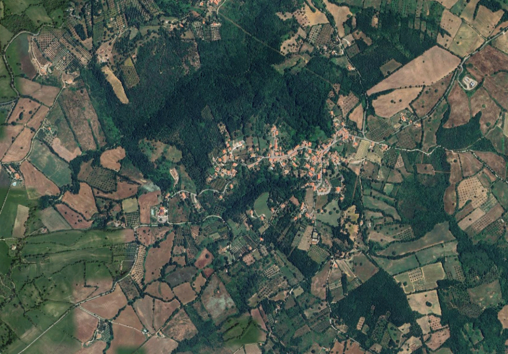 immagine annuncio 12 di 13