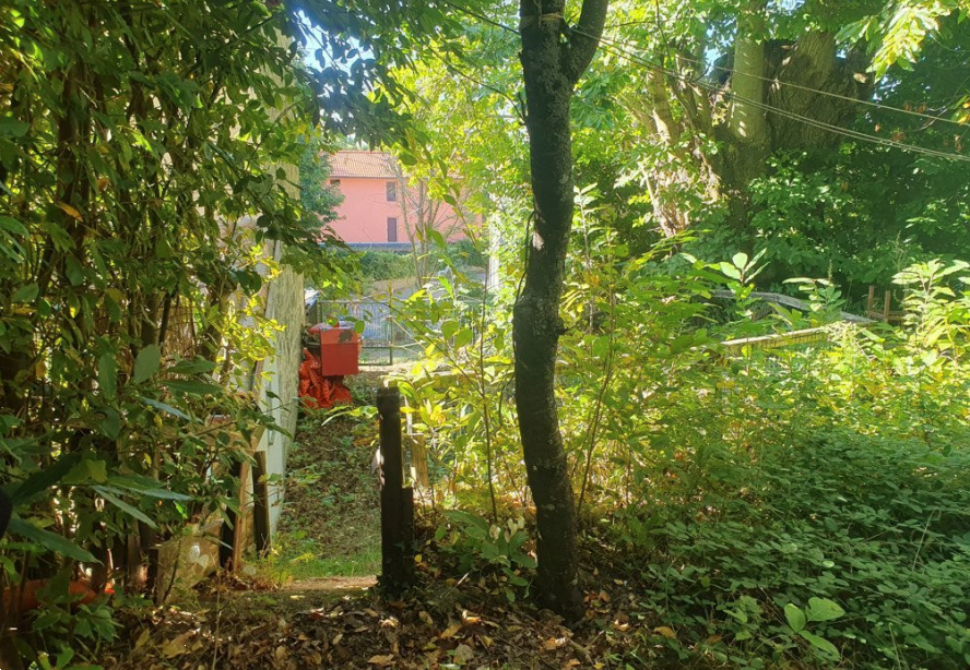 immagine annuncio 6 di 13