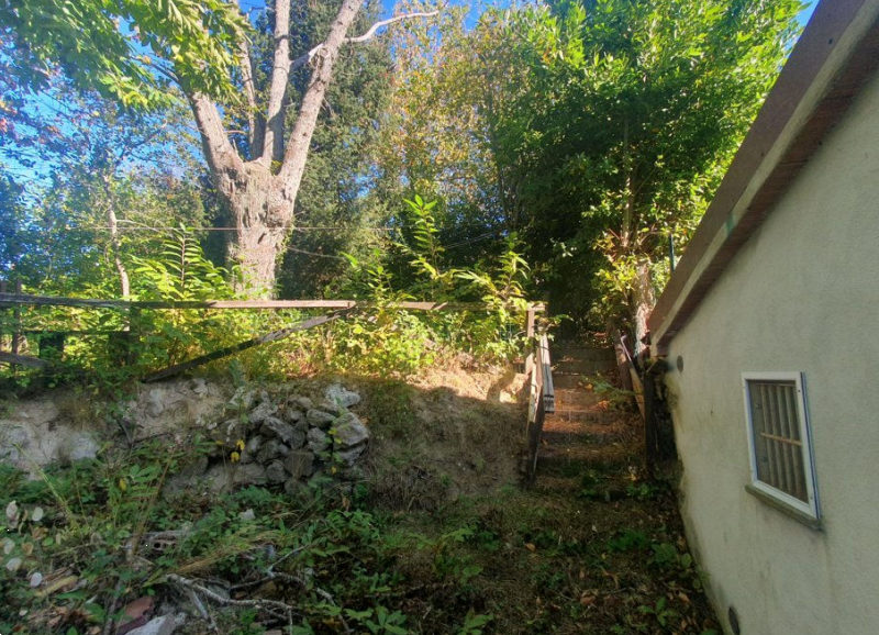 immagine annuncio 7 di 13