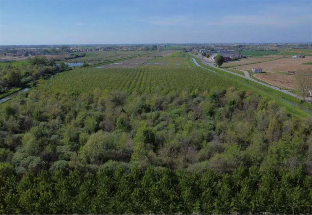 immagine annuncio 2 di 13