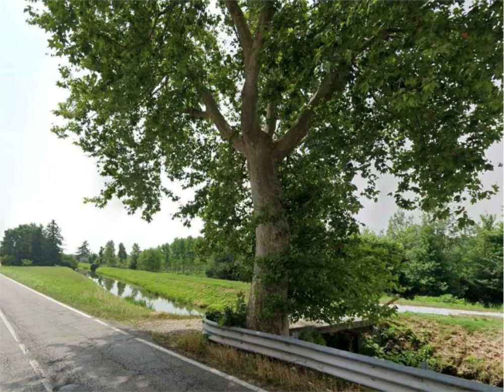 immagine annuncio 5 di 13