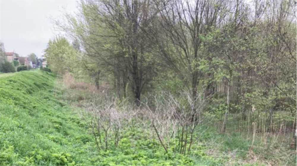 immagine annuncio 6 di 13