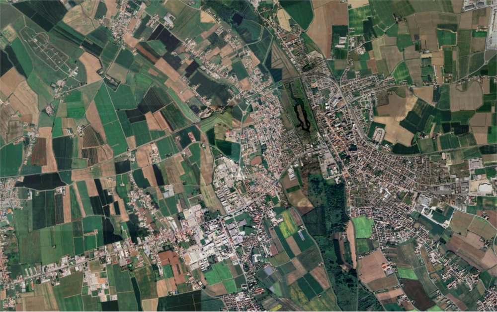 immagine annuncio 12 di 13