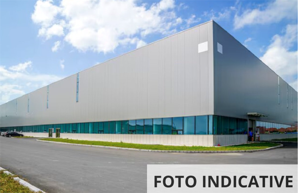 immagine annuncio 8 di 13