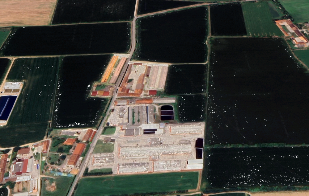 immagine annuncio 2 di 13