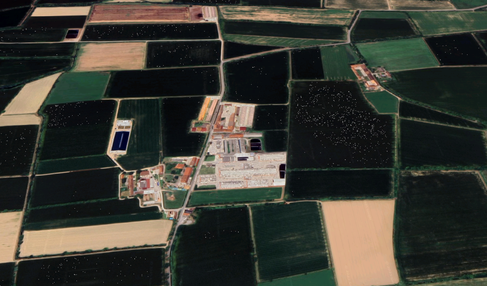 immagine annuncio 3 di 13