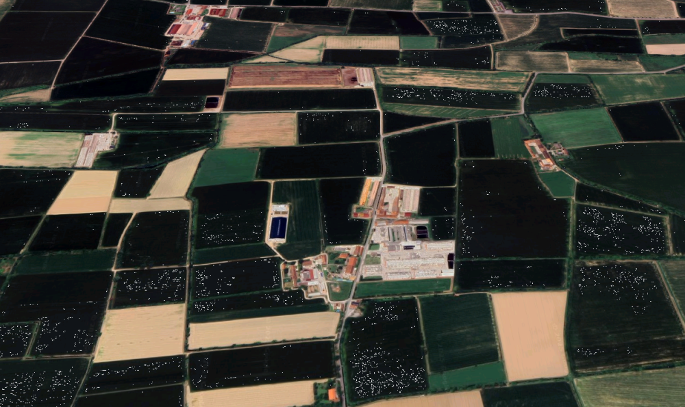 immagine annuncio 4 di 13