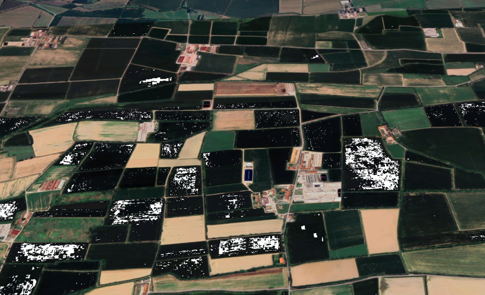 immagine annuncio 5 di 13