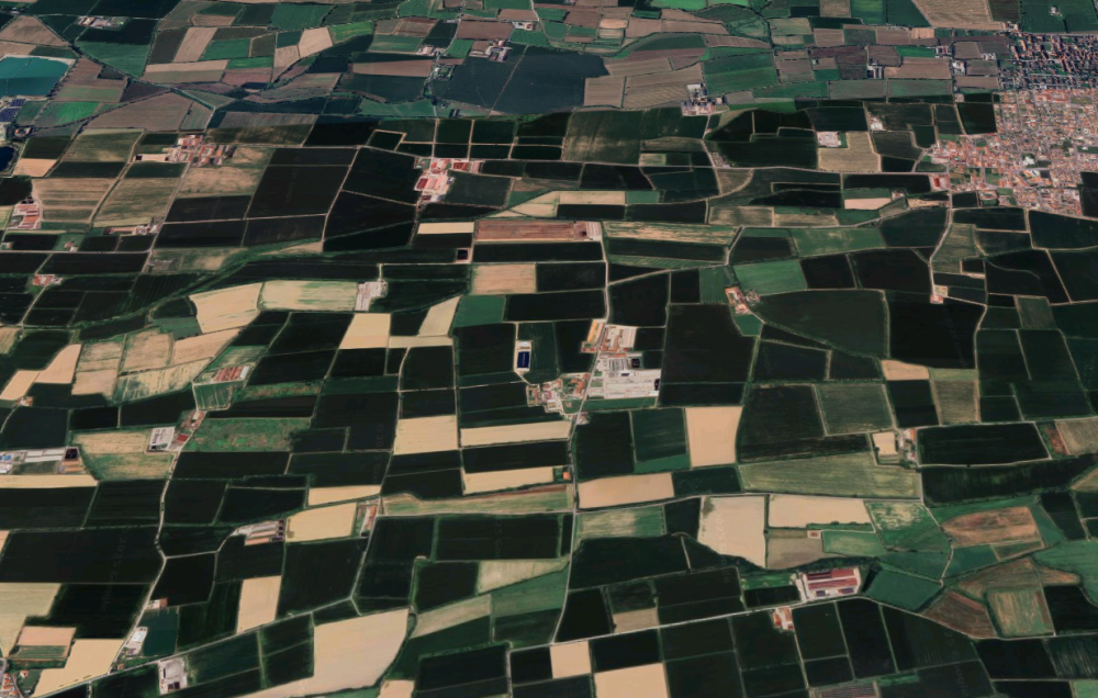 immagine annuncio 6 di 13