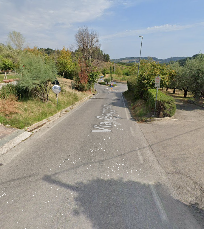 immagine annuncio 7 di 13