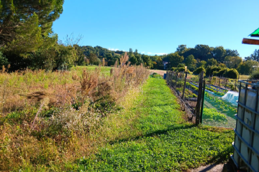 immagine annuncio 3 di 13