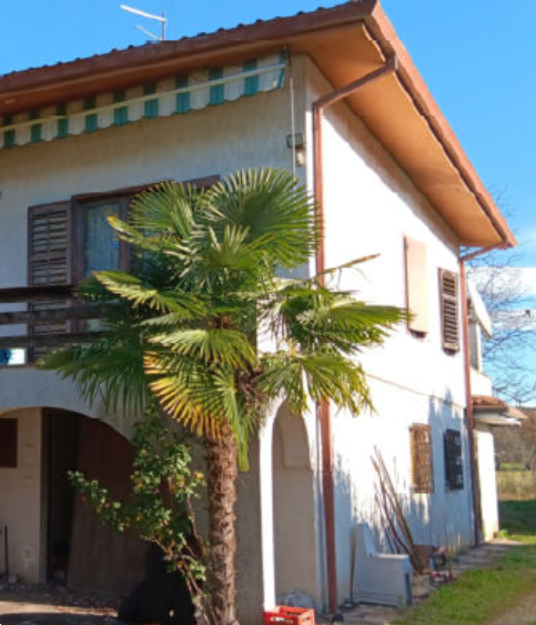 immagine annuncio 5 di 13