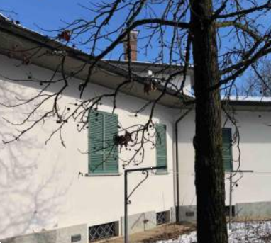 immagine annuncio 4 di 13