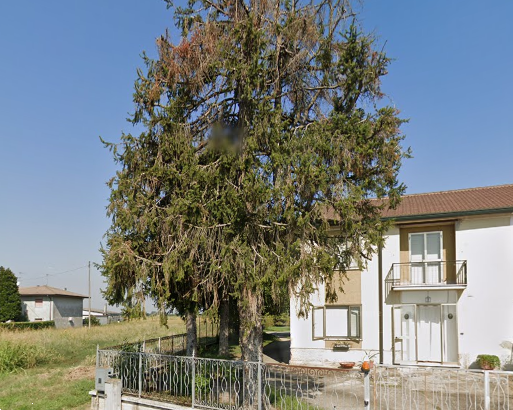 immagine annuncio 1 di 13