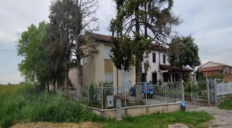 immagine annuncio 7 di 13