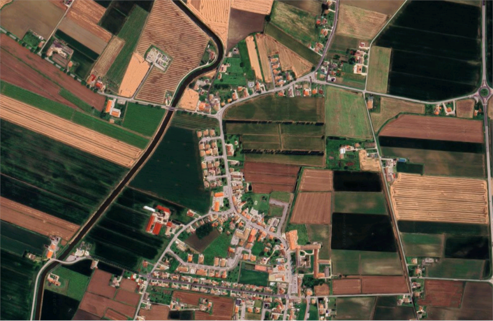 immagine annuncio 4 di 11