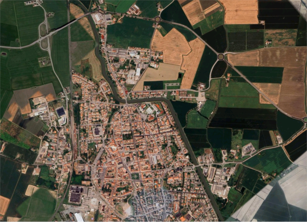 immagine annuncio 11 di 13