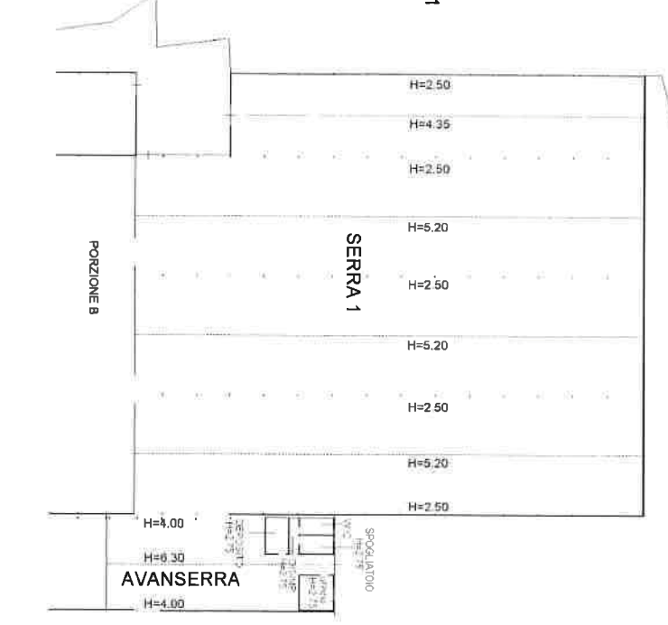 immagine annuncio 3 di 13