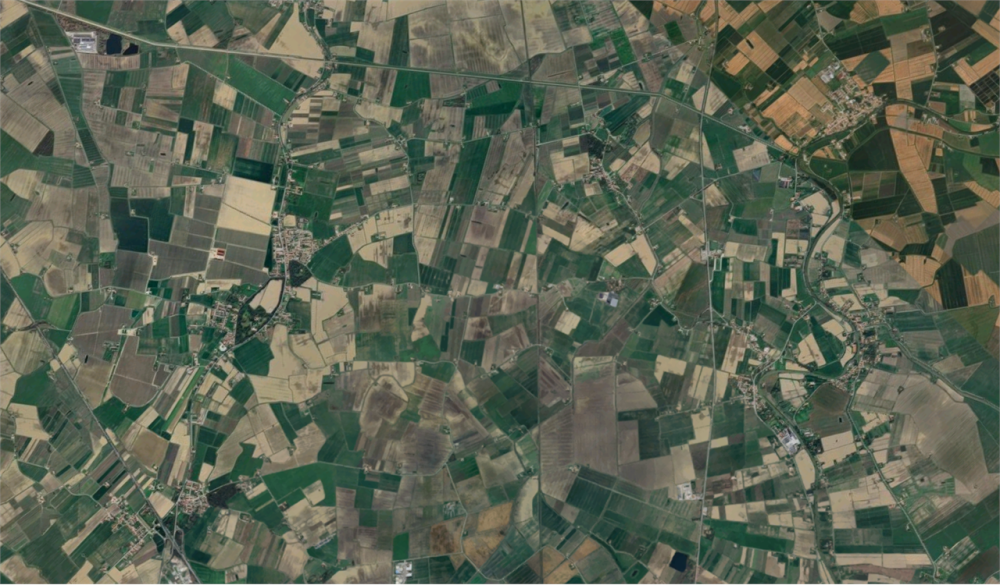 immagine annuncio 11 di 13