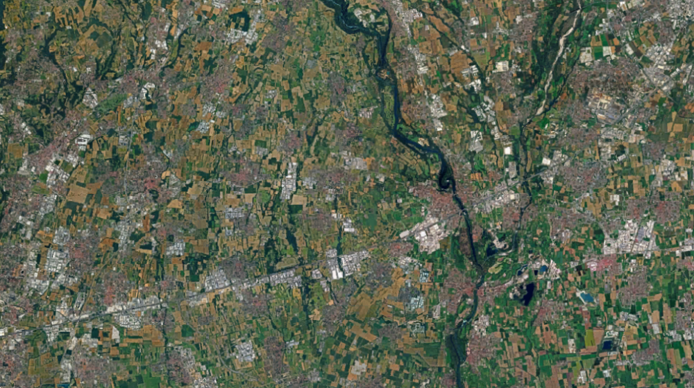 immagine annuncio 6 di 13