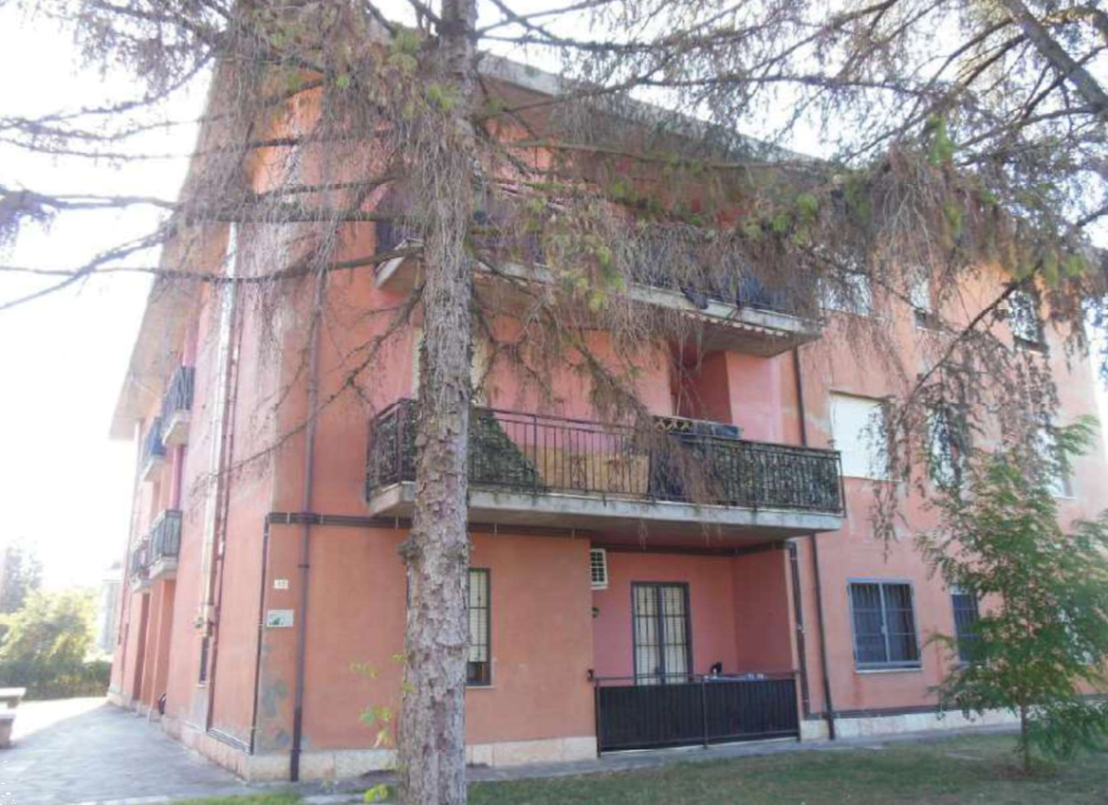 immagine annuncio 2 di 13