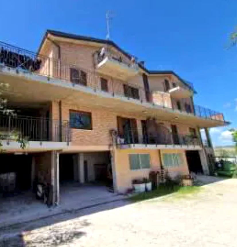 immagine annuncio 1 di 13