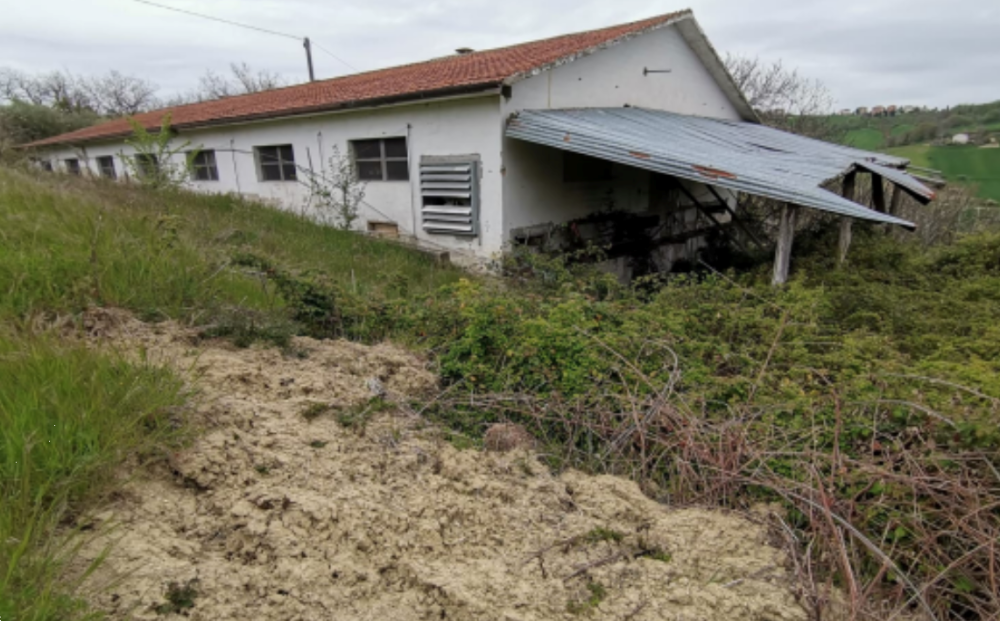 immagine annuncio 1 di 9