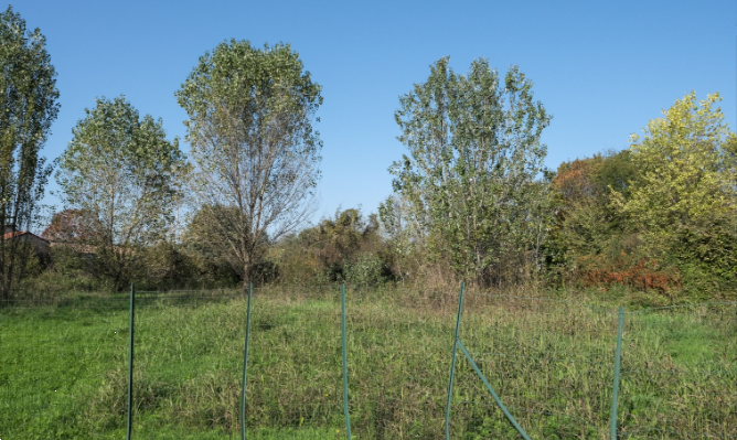 immagine annuncio 2 di 13