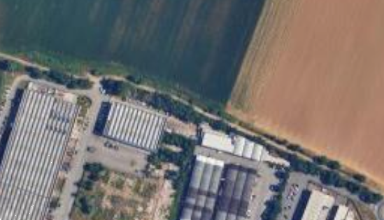 immagine annuncio 6 di 13