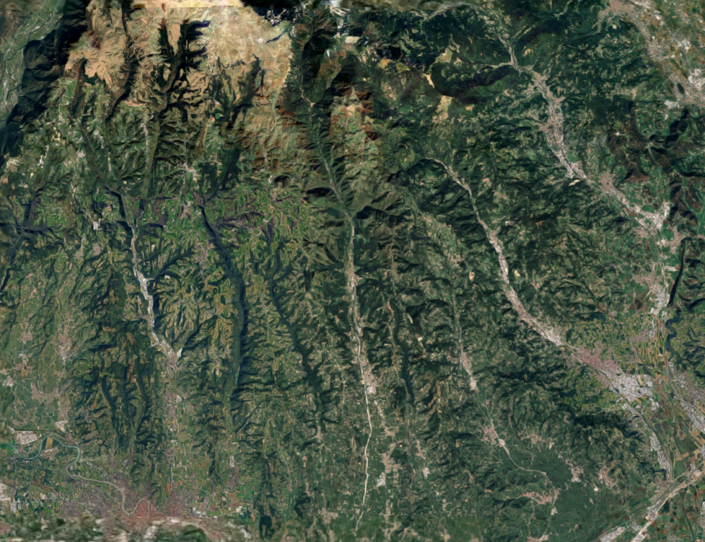 immagine annuncio 3 di 14