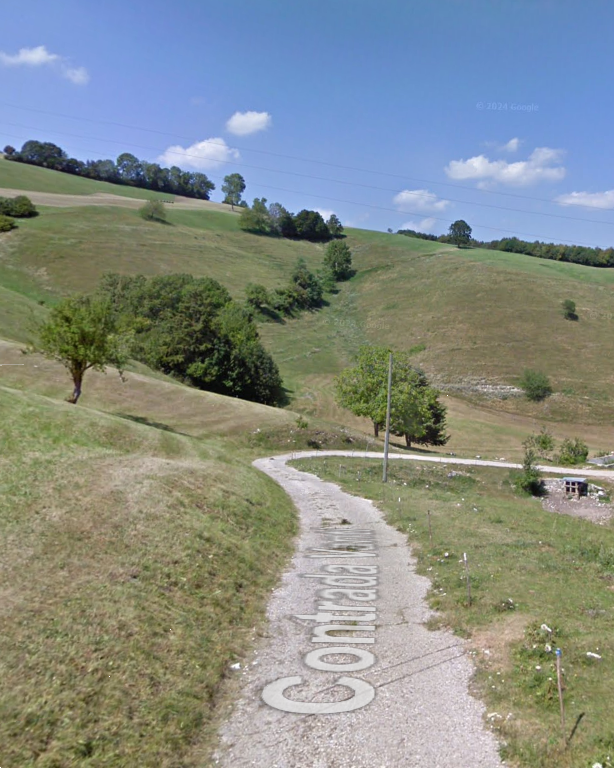 immagine annuncio 7 di 14