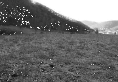 immagine annuncio 9 di 14