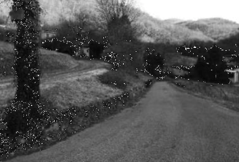 immagine annuncio 10 di 14