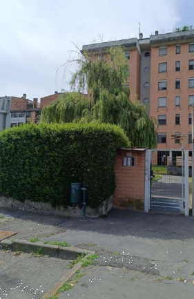 immagine annuncio 3 di 13