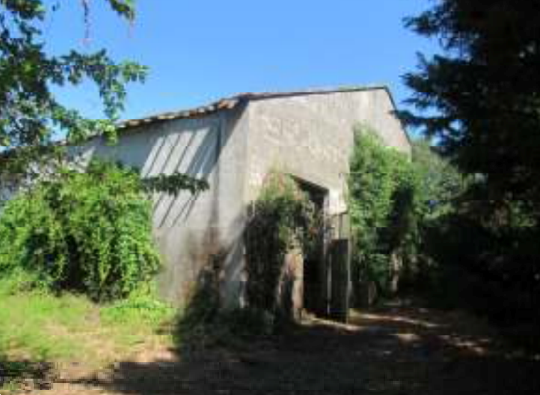 immagine annuncio 2 di 13