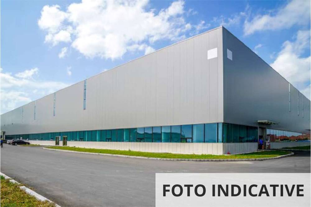 immagine annuncio 12 di 13