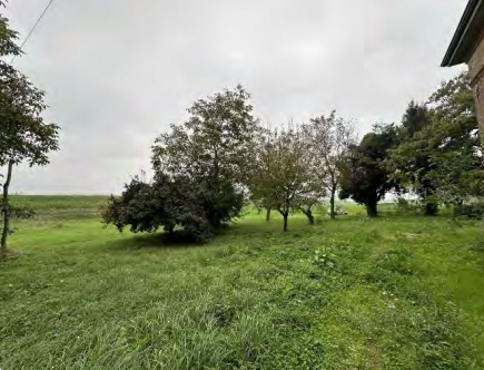 immagine annuncio 10 di 13