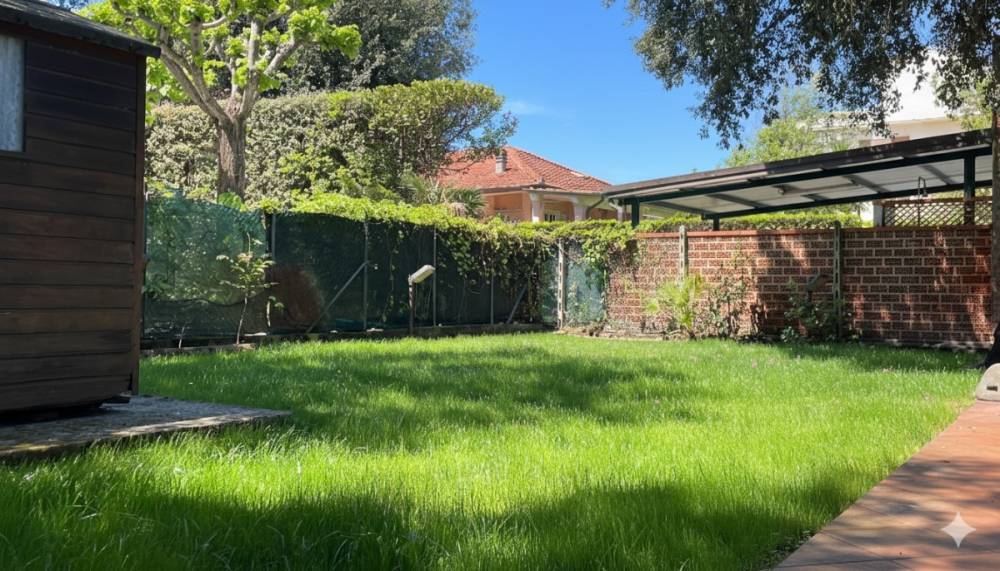 immagine annuncio 6 di 13