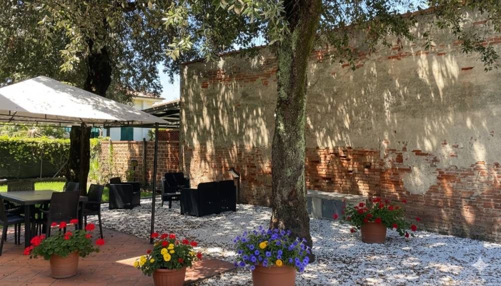 immagine annuncio 7 di 13