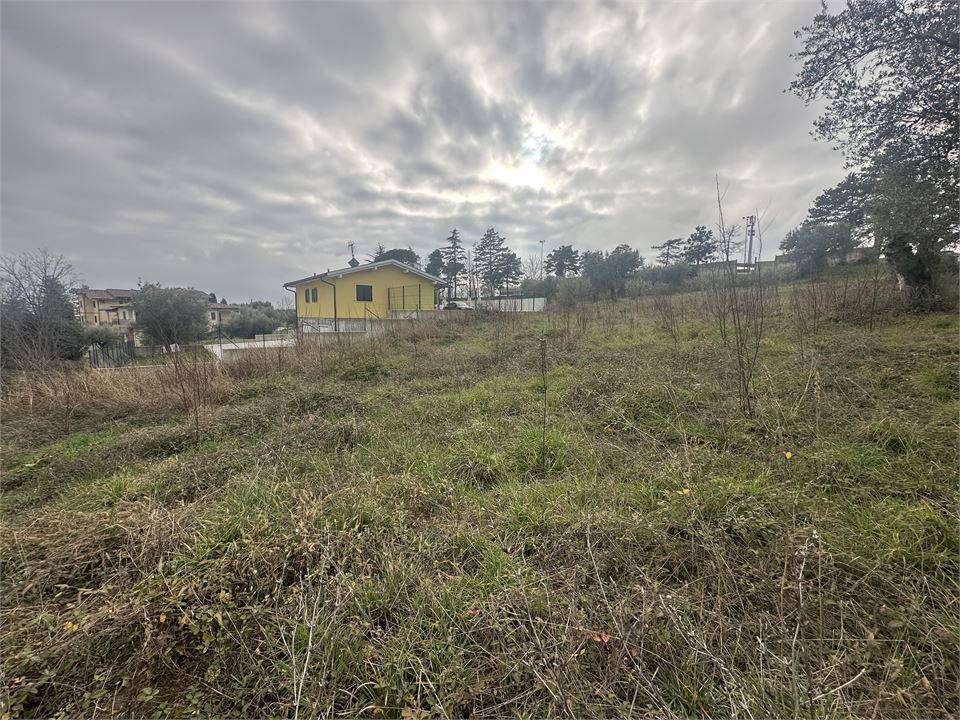 immagine annuncio 8 di 9