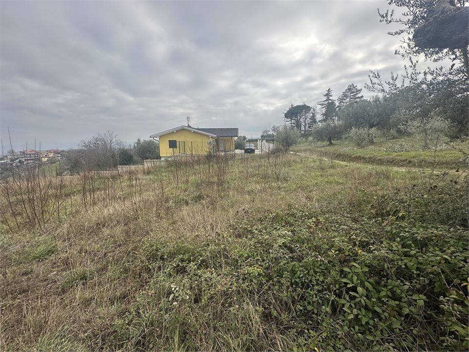 immagine annuncio 3 di 9