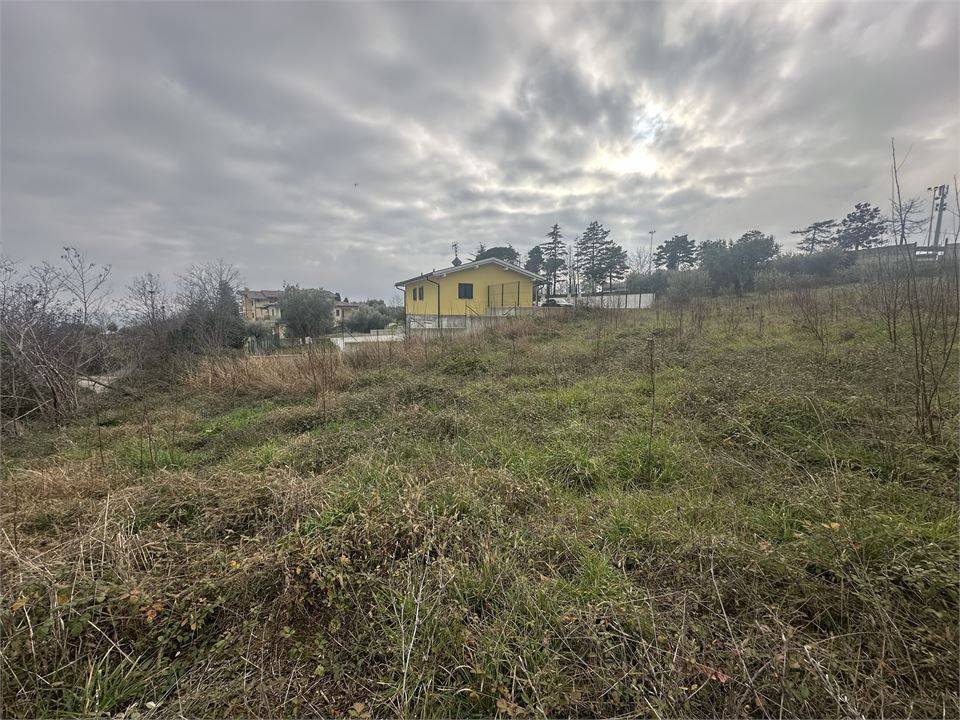 immagine annuncio 5 di 9