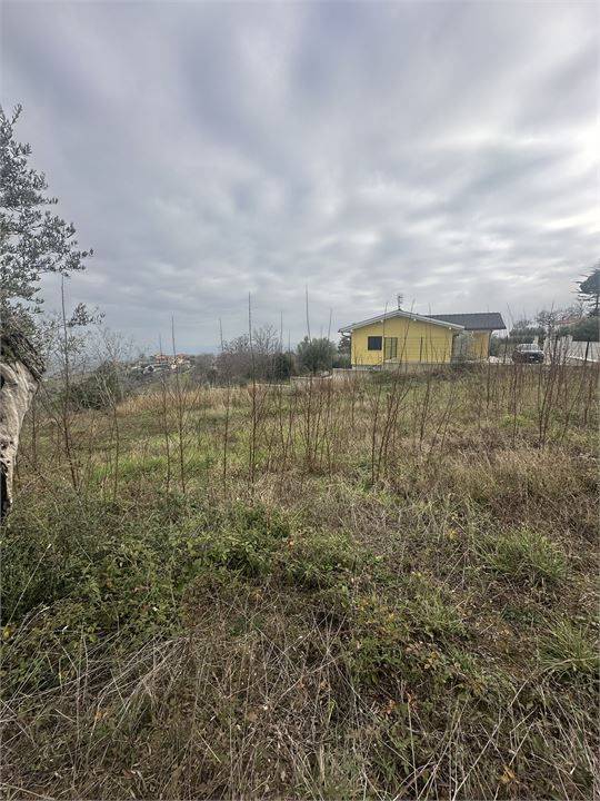 immagine annuncio 7 di 9