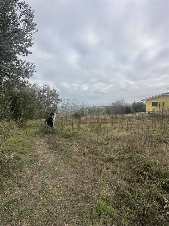 immagine annuncio 4 di 9