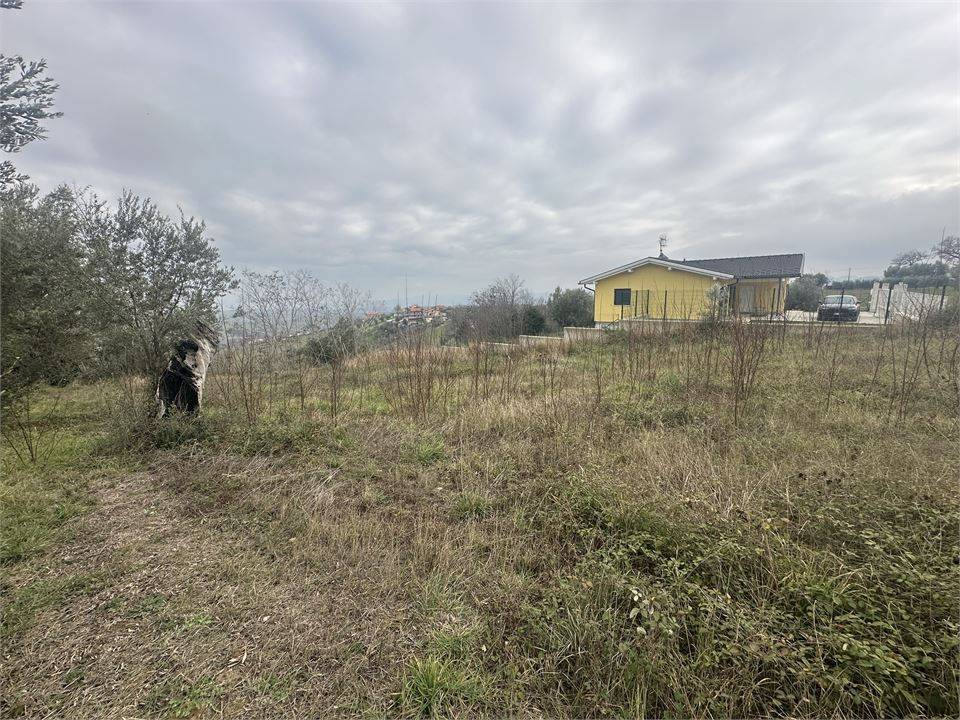 immagine annuncio 1 di 9