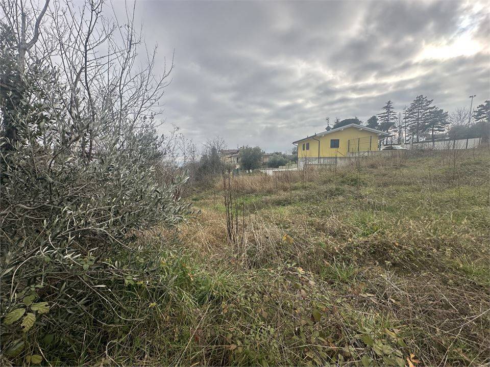 immagine annuncio 6 di 9